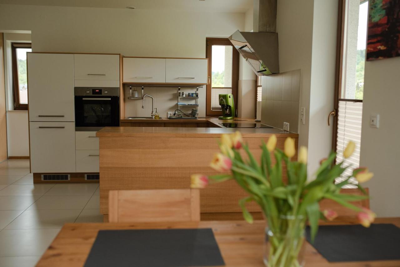 Apartament Sloneczna Rapsodia - Blisko Parku Zdrojowego - Piekny Widok - Ogrod - Taras 拉布卡 外观 照片